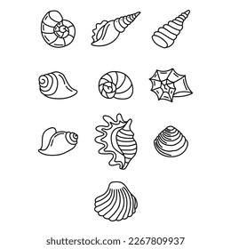 Illustration with seashell nautilus. Object for logo, card, flyer. Minimalist sign for logo, emblem, banner. Hand drawn illustration with ammonite fossil in modern style