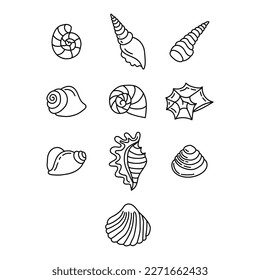 Illustration with seashell nautilus. Object for logo, card, flyer. Minimalist sign for logo, emblem, banner. Hand drawn illustration with ammonite fossil in modern style