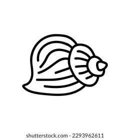 Illustration with seashell nautilus. Object for logo, card, flyer. Minimalist sign for logo, emblem, banner. Hand drawn illustration with ammonite fossil in modern style
