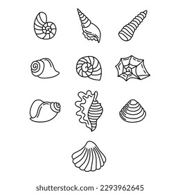 Illustration with seashell nautilus. Object for logo, card, flyer. Minimalist sign for logo, emblem, banner. Hand drawn illustration with ammonite fossil in modern style
