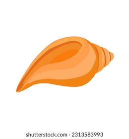 illustration of a seashell in realism