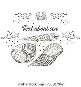 Illustration with seashells and crab. Marine theme. With a place under the text. For your design.