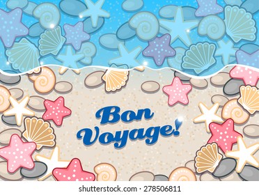 Illustration of seashore with shells and starfish