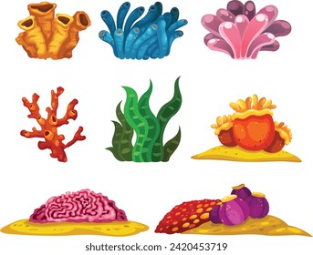 Illustration of a seaweed with coral vector