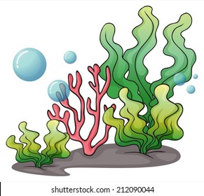 Illustration of the seaweeds under the sea on a white background