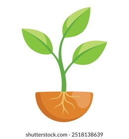 Illustration of Seed sprout with the root