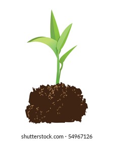 illustration of a seedling with soil, vector format.