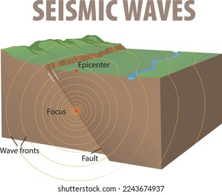 Ilustración del diagrama de ondas sísmicas - vector