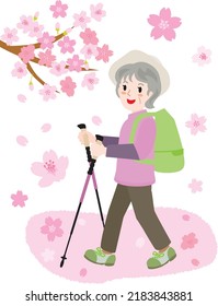 Illustration of the senior woman doing cherry blossom viewing in the spring.