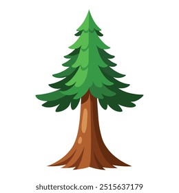 Illustration of Sequoia tree isolated on white