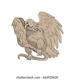 Illustration of a serpent in the clutches of an eagle with it's beak on snake's head done in drawing sketch style.