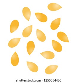Illustration of the sesame