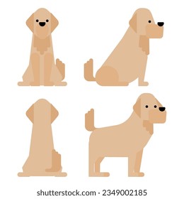 It is an illustration of a set of 4 graphical and simple dog poses (Golden Retriever).