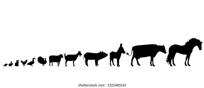 Illustration of set animals icon. Vector silhouette on white background. Symbol farm´s cattle.