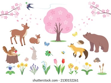 Illustration set of animals and plants in a spring forest