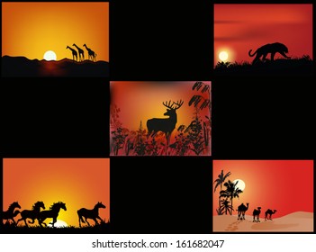 illustration with set of animals at sunset
