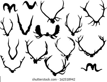 illustration with set of antler and horns isolated on white background