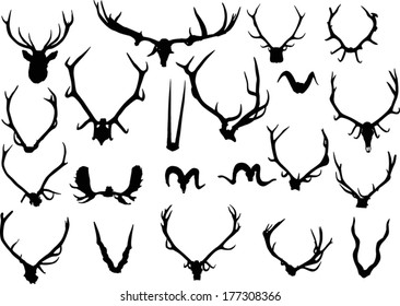 illustration with set of antler and horns isolated on white background