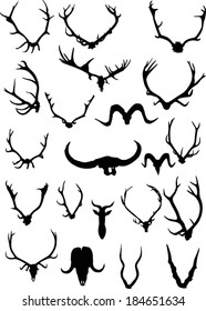 illustration with set of antler and horns isolated on white background