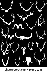 illustration with set of antler and horns isolated on black background