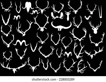 illustration with set of antler and horns isolated on black background
