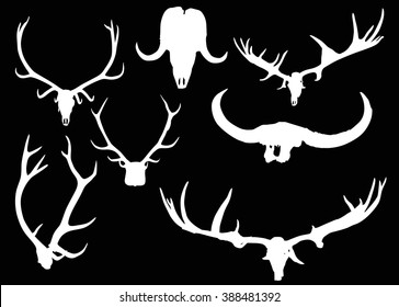 illustration with set of antler and horns isolated on black background