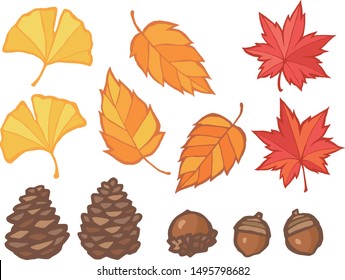 Illustration set of autumn leaves, acorns and pine cones