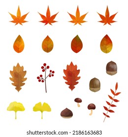 Illustration set of autumn materials such as autumn leaves and nuts (white background, vector, clipping)