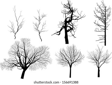 Tree Branch Outline Images, Stock Photos & Vectors | Shutterstock