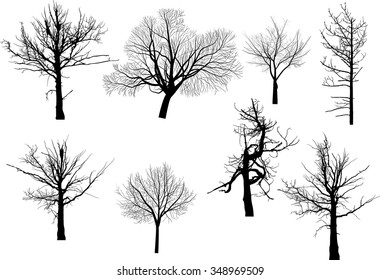 illustration with set of bare trees isolated on white background