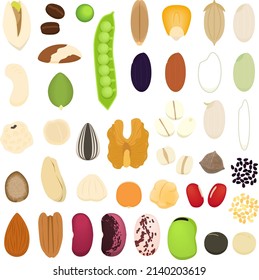 Illustration set of beans, seeds and grains