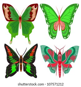 illustration set beautiful butterfly on white background