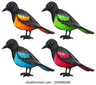Illustration of a set of birds