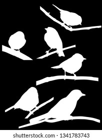 Illustration Set Birds Silhouettes Isolated On Stock Vector (Royalty ...