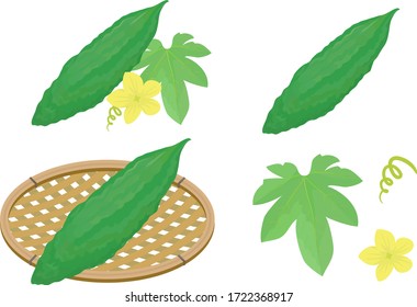 An illustration set of bitter melon with flowers and leaves.