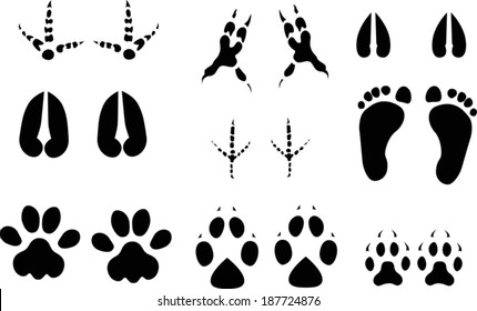 illustration with set of black animals tracks isolated on white background