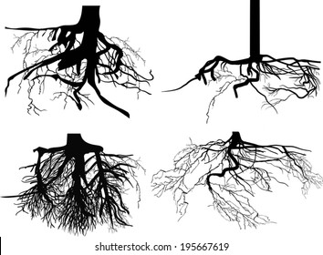 illustration with set of black roots isolated on white background