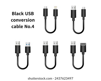 Es un conjunto de ilustración de cable de conversión USB negro No.4.