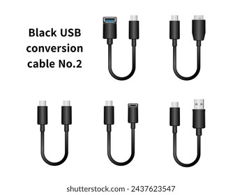 Es un conjunto de ilustración de cable de conversión USB negro No.2.