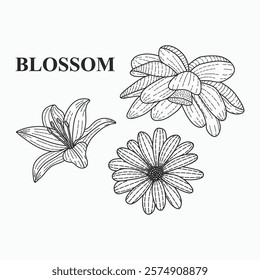 illustration of set blooming flowers. art for shirt