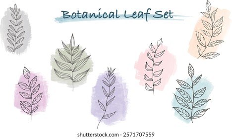 Illustration set of botanical leaves of gentle touch
