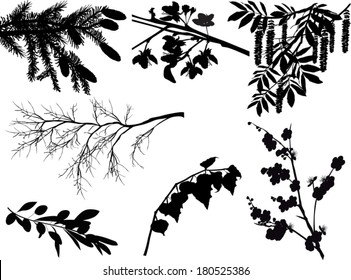 illustration with set of branches isolated on white background