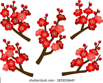 Illustration set of branches with plum blossoms and buds