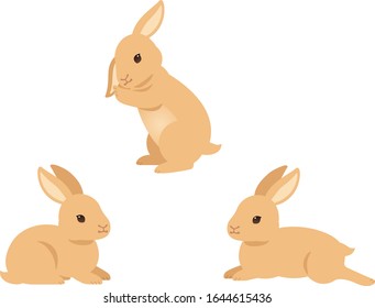 Illustration set of brown rabbits (Grooming ear, Lying down and relaxing)