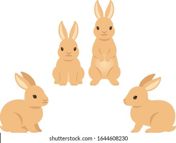 Illustration set of brown rabbits (sitting, standing, side view and front view)