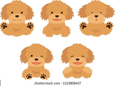 Illustration set of bust shot dogs with various expressions (poodle)