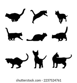 Illustration set of cat silhouette