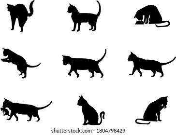 Illustration set of cat silhouettes and poses