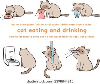 Illustration set of cats eating and drinking