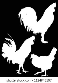 illustration with set of chicken silhouettes isolated on black background